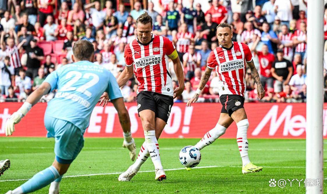  横波和纵波的区别图示 